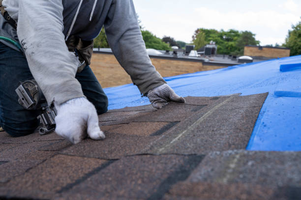 Best Shingle Roofing Installation  in Hallstead, PA