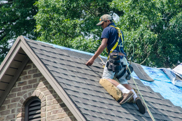 Best Local Roofing Companies  in Hallstead, PA